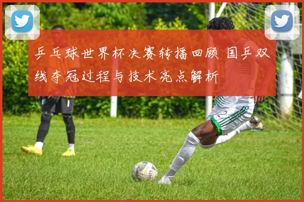 乒乓球世界杯决赛转播回顾 国乒双线夺冠过程与技术亮点解析