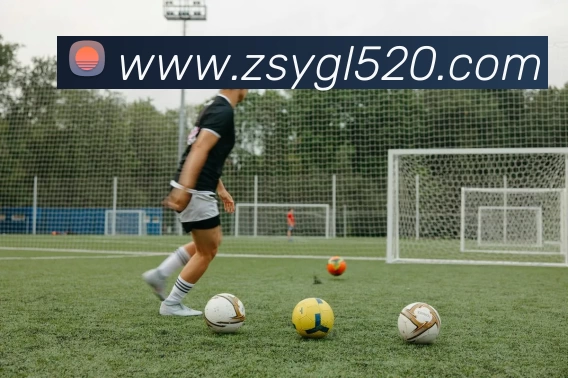 米兰(中国)milan·官方网站 - 登录入口APP 封面图